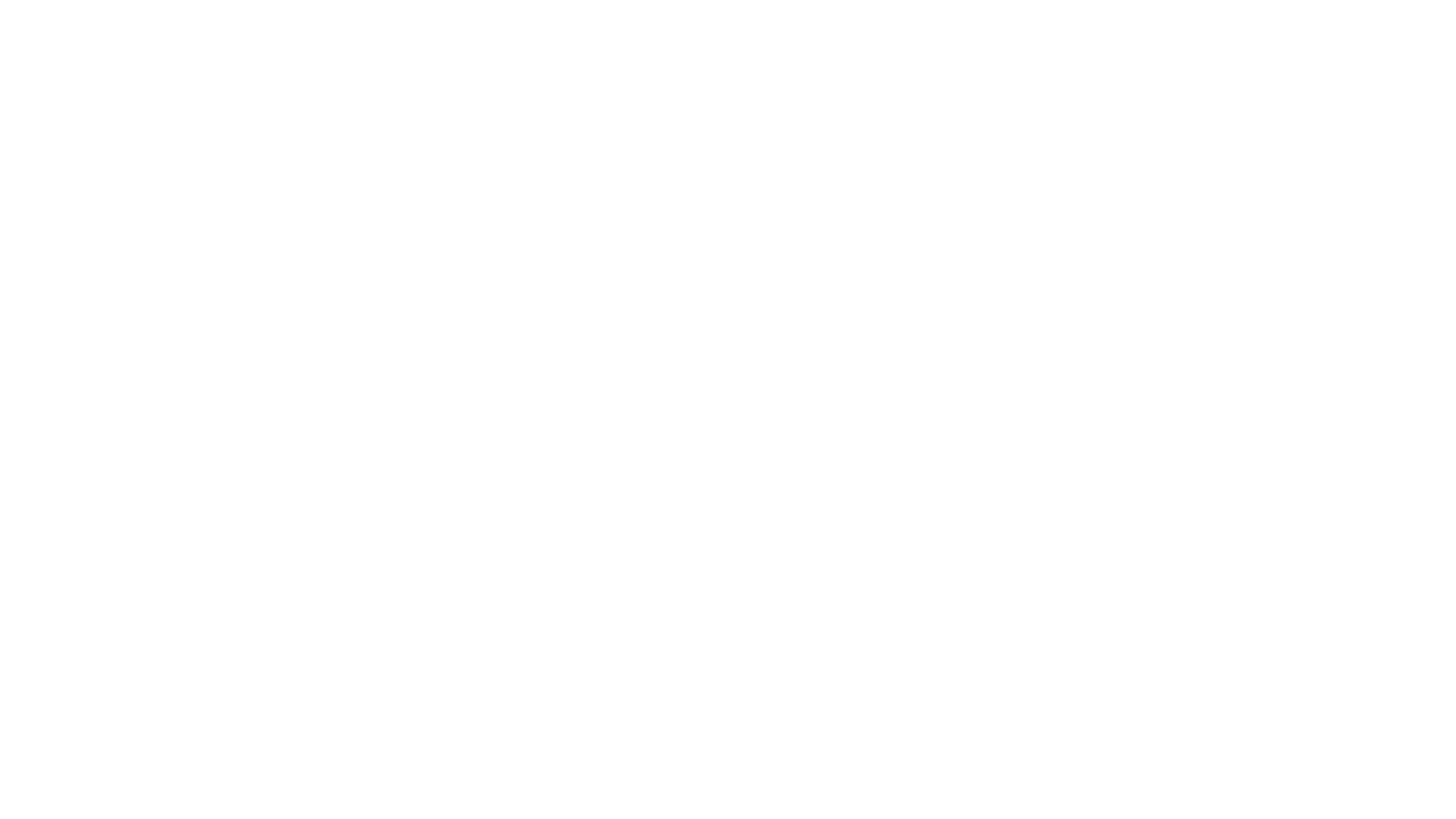 DISC TURBO